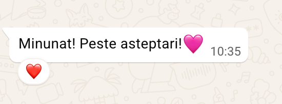 Mesaj primit pe WhatsApp