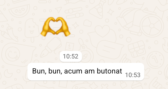 Mesaj primit pe WhatsApp